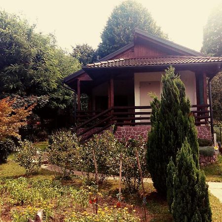 Sunny Paradise Bihać 외부 사진