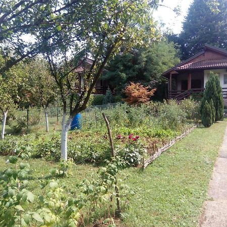 Sunny Paradise Bihać 외부 사진