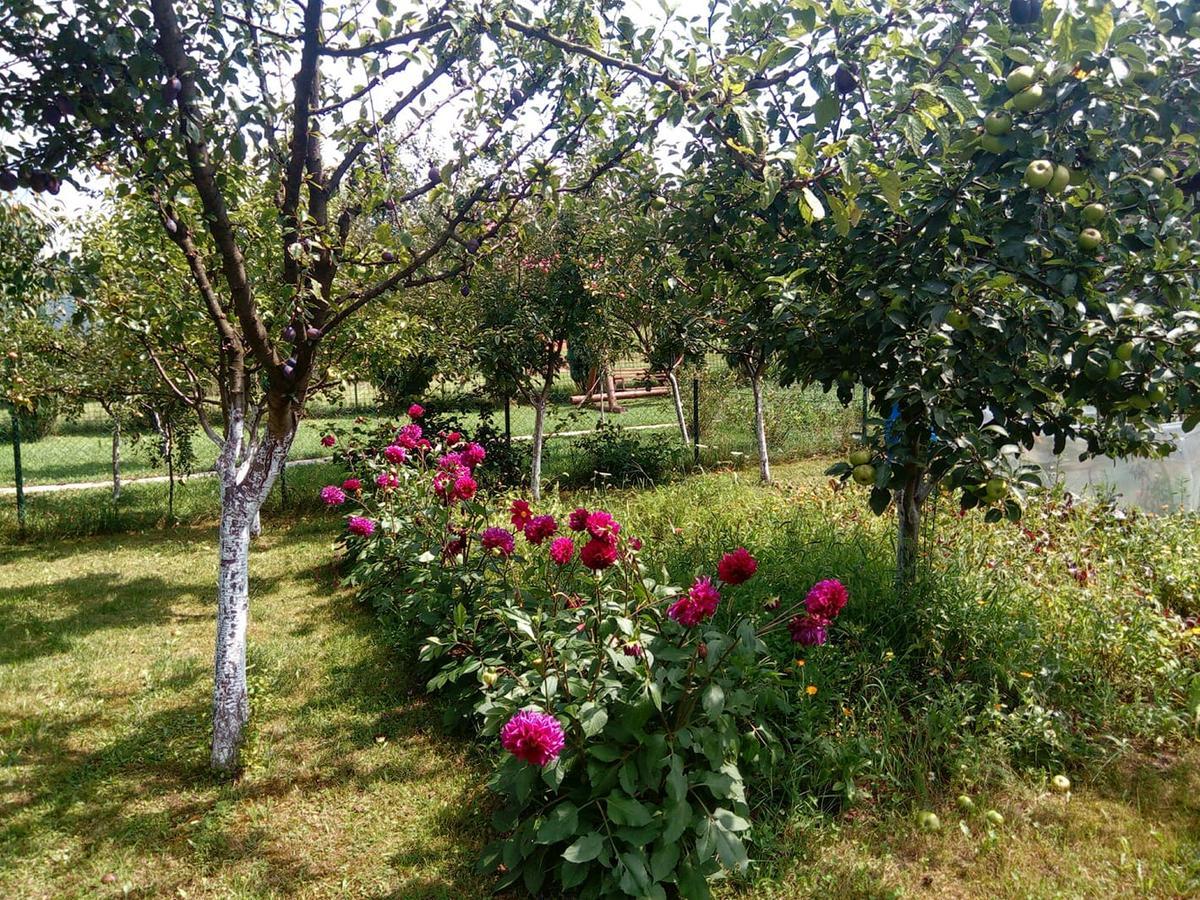 Sunny Paradise Bihać 외부 사진