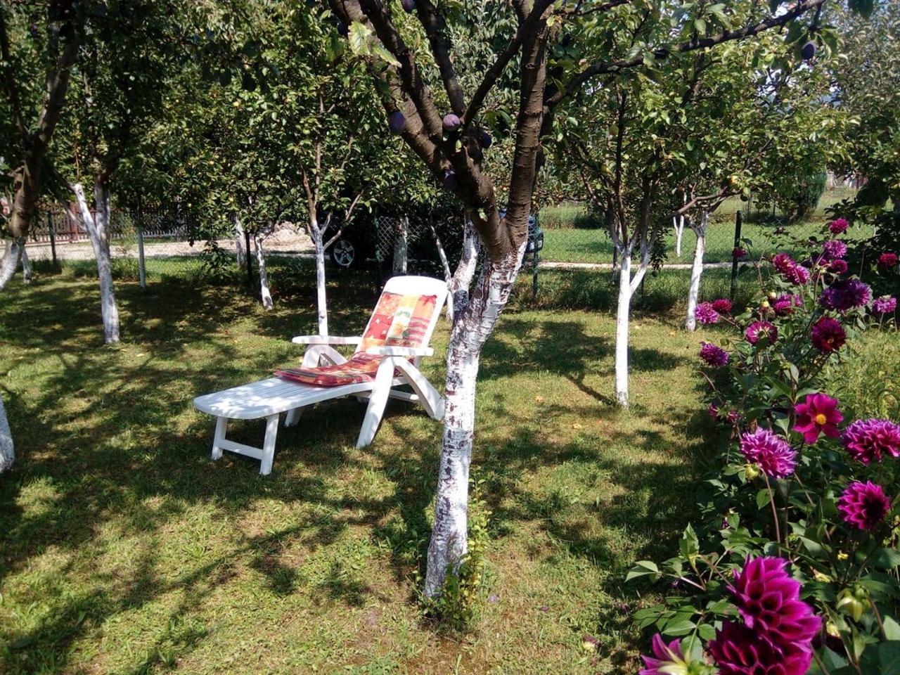 Sunny Paradise Bihać 외부 사진